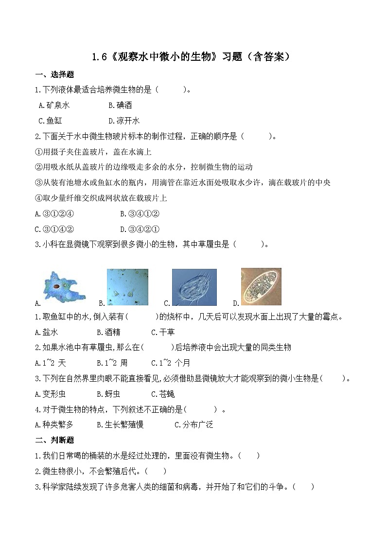 1.6 观察水中微小的生物（练习）-2023-2024学年六年级科学上册同步备课（教科版）01