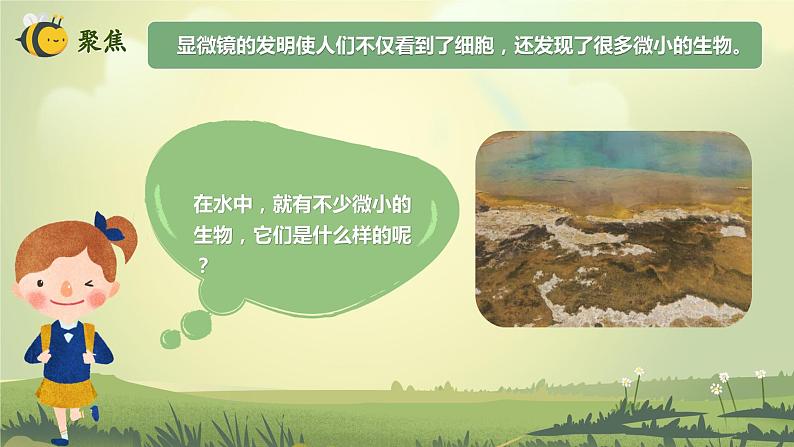 1.6 观察水中微小的生物（课件）-2023-2024学年六年级科学上册同步备课（教科版）03