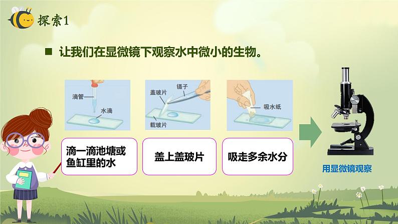 1.6 观察水中微小的生物（课件）-2023-2024学年六年级科学上册同步备课（教科版）04