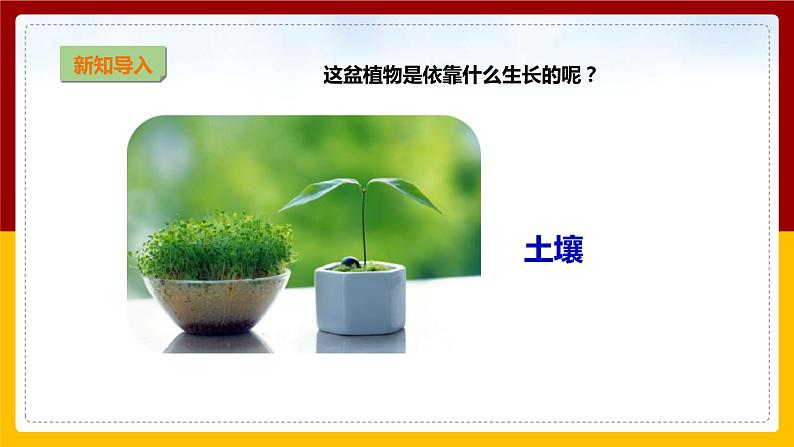 【教科版】科学二上  1.2 《土壤——动植物的乐园》（课件+教案+练习+素材）03