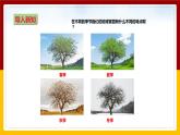【教科版】科學二上  1.6《不同的季節(jié)》（課件+教案+練習+素材）