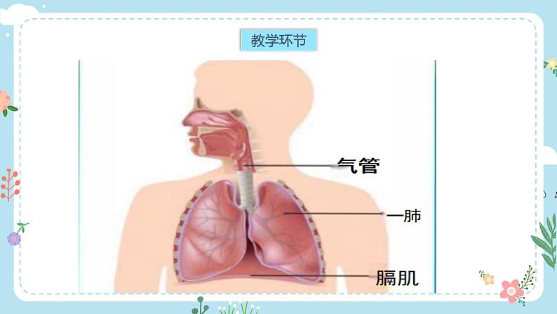 2.1感受我们的呼吸第3页