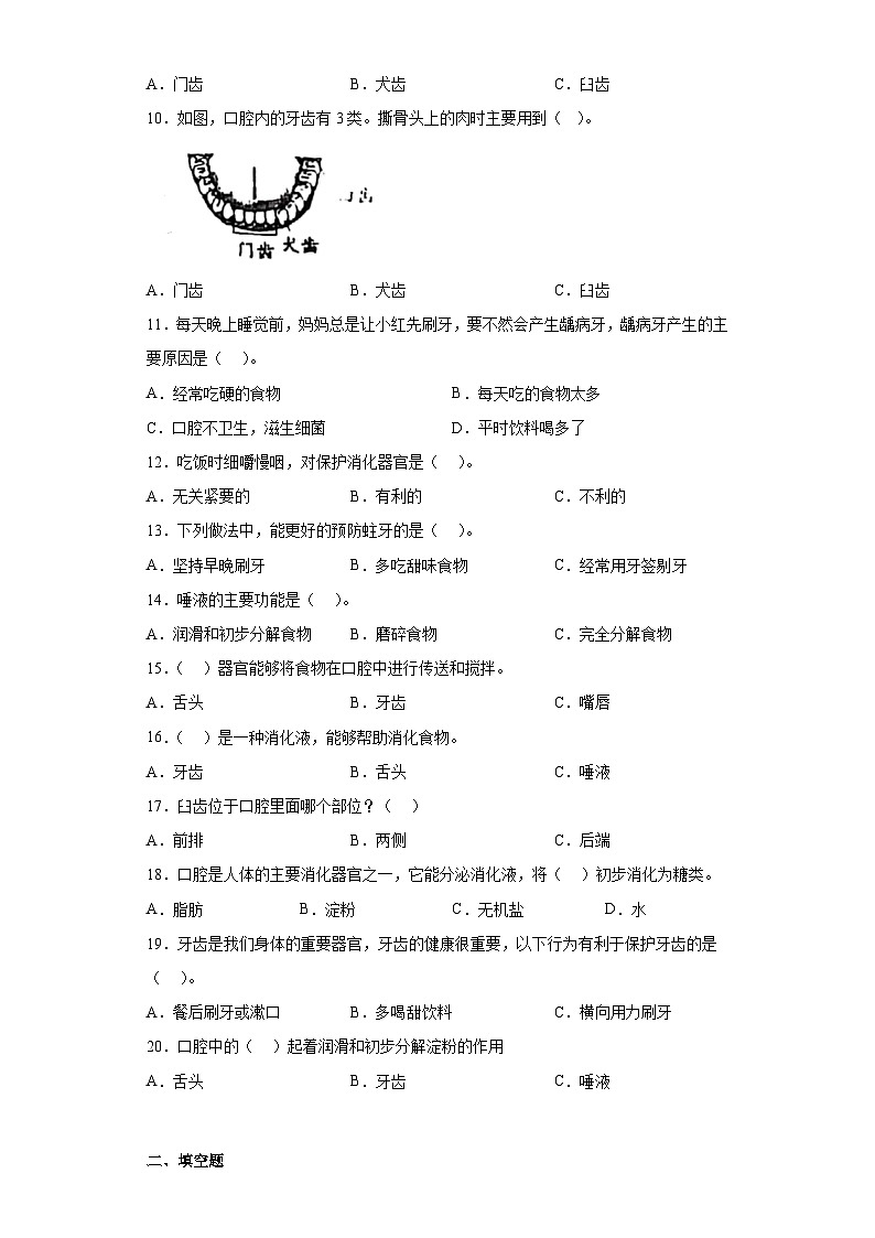 【核心素养目标】教科版小学科学四年级上册第二单元第2.7课时《食物在口腔中的变化》课件+教案+同步练习（含答案和教学反思）02