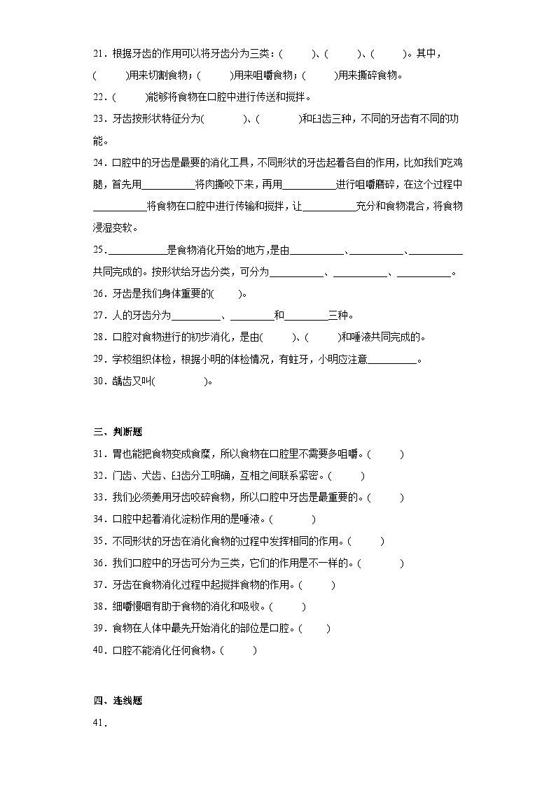 【核心素养目标】教科版小学科学四年级上册第二单元第2.7课时《食物在口腔中的变化》课件+教案+同步练习（含答案和教学反思）03