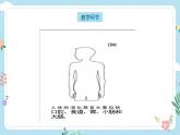 【核心素養(yǎng)目標(biāo)】教科版小學(xué)科學(xué)四年級(jí)上冊(cè)第二單元第2.8課時(shí)《食物在身體里的旅行》課件+教案+同步練習(xí)（含答案和教學(xué)反思）
