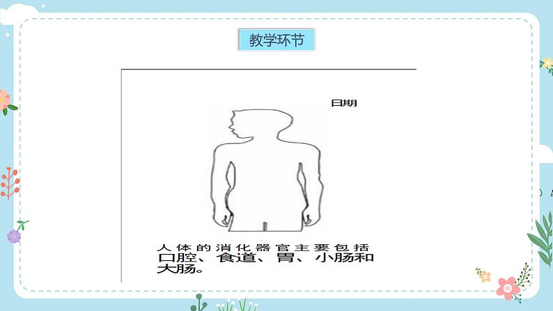 【核心素养目标】教科版小学科学四年级上册第二单元第2.8课时《食物在身体里的旅行》课件+教案+同步练习（含答案和教学反思）04