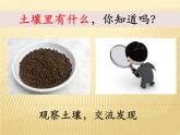1，2《土壤——动植物的乐园》课件PPT