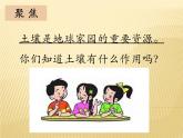1，2《土壤——动植物的乐园》课件PPT