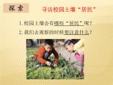 1，2《土壤——动植物的乐园》课件PPT