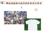 1.7《做大自然的孩子》教学课件