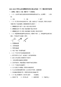 2022-2023学年山东省潍坊市昌乐县五年级下学期期末科学试卷（含解析）