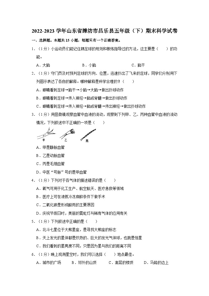 2022-2023学年山东省潍坊市昌乐县五年级下学期期末科学试卷（含解析）01