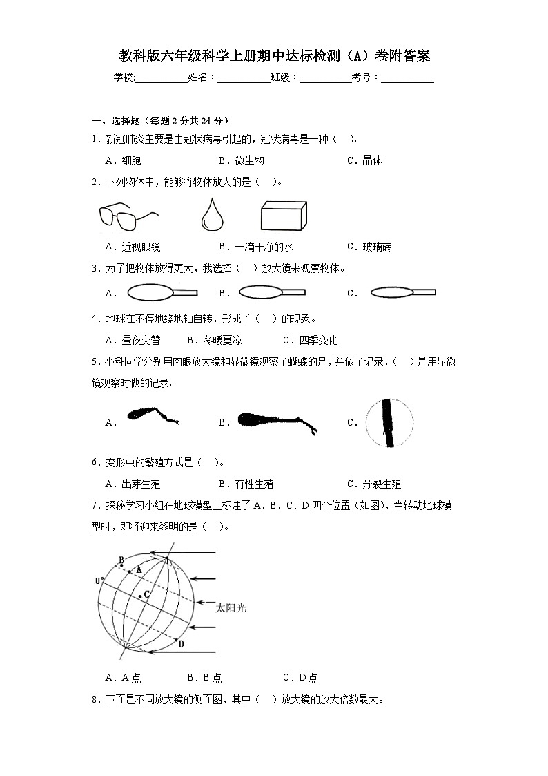 教科版六年级科学上册期中达标检测（A）卷附答案01