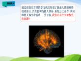 大象版科学五上2.4 脑的保健 教学课件