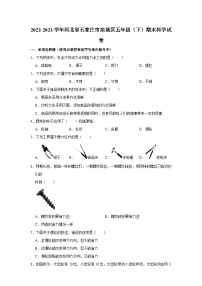 河北省石家庄市栾城区2022-2023学年五年级下学期期末科学试卷