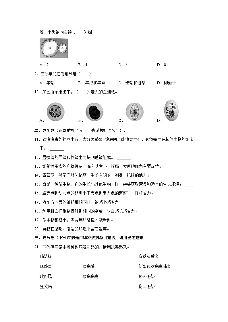 河北省石家庄市栾城区2022-2023学年五年级下学期期末科学试卷第2页