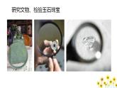 教科版科学六上1.1（放大镜）教学设计+课件+素材