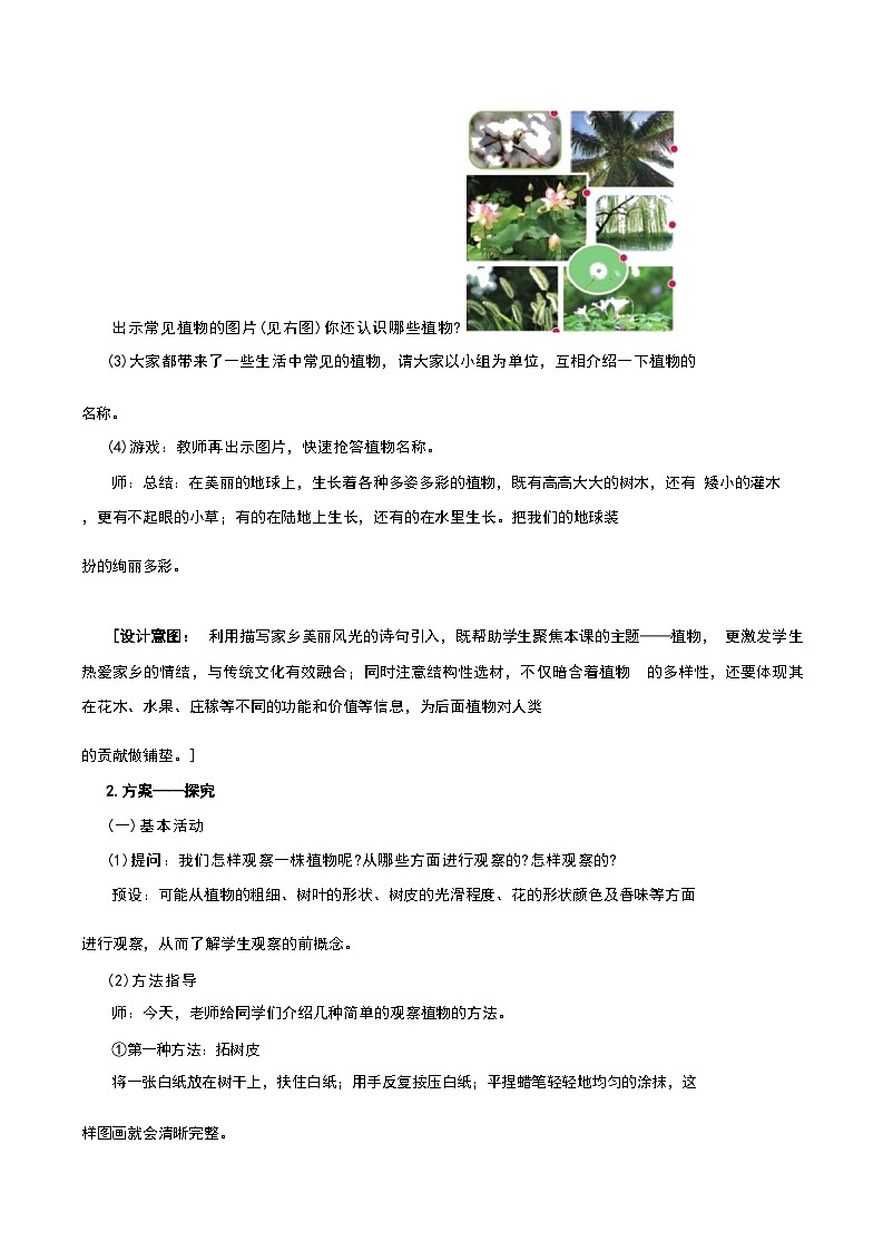 《观察一棵植物》（教案） 一年级上册科学教科版第2页