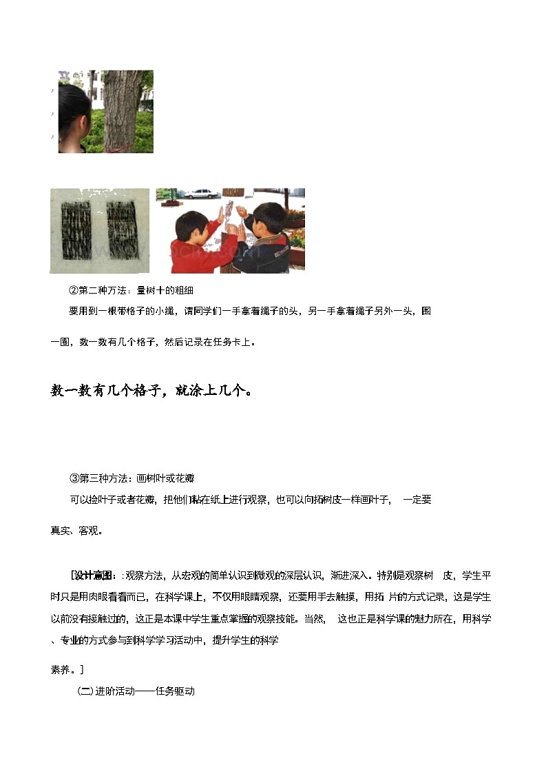 《观察一棵植物》（教案） 一年级上册科学教科版第3页