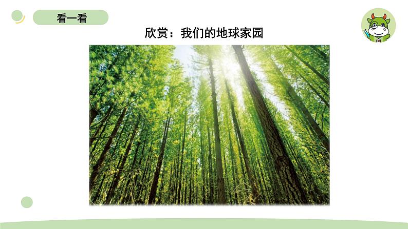 小学科学教科版二年级上册第一单元1《地球家园中有什么》教学课件（2023秋新课标版）04