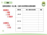 小学科学教科版二年级上册第一单元2《土壤——动植物的乐园》教学课件（2023秋新课标版）