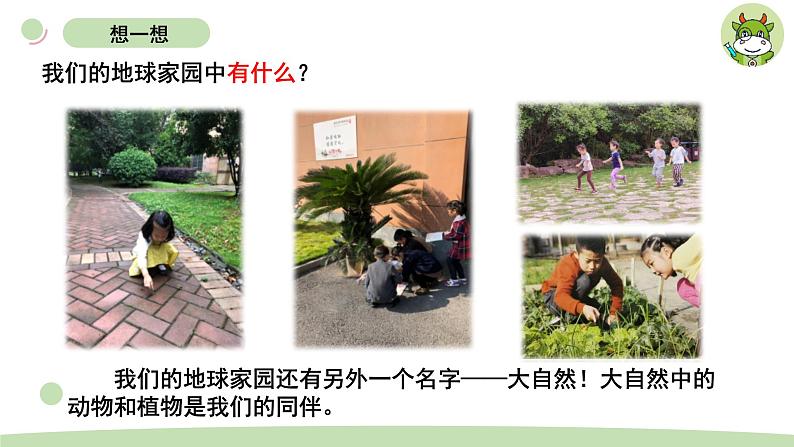 小学科学教科版二年级上册第一单元7《做大自然的孩子》教学课件（2023秋新课标版）03