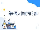 冀人版科学五年级上册2.6人体的司令部（课件+教案）