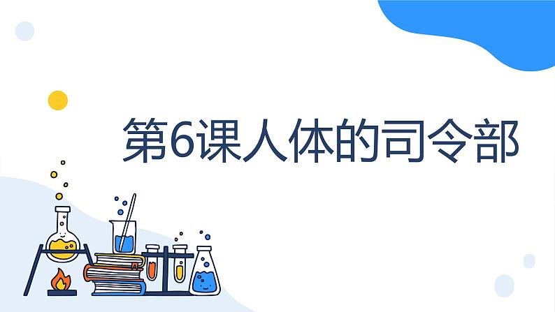 冀人版科学五年级上册2.6人体的司令部（课件+教案）01