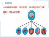 冀人版科学五年级上册2.6人体的司令部（课件+教案）