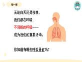 小学科学教科版四年级上册第二单元1感受我们的呼吸教学课件（2023秋新课标版）