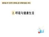 小学科学教科版四年级上册第二单元2呼吸与健康生活教学课件（2023秋新课标版）