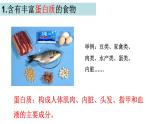 小学科学教科版四年级上册第二单元5食物中的营养教学课件（2023秋新课标版）