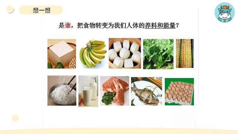 小学科学教科版四年级上册第二单元7食物在口腔里的变化教学课件（2023秋新课标版）第2页