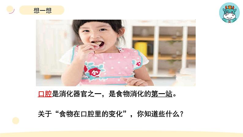 小学科学教科版四年级上册第二单元7食物在口腔里的变化教学课件（2023秋新课标版）第4页