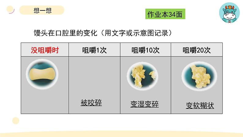 小学科学教科版四年级上册第二单元7食物在口腔里的变化教学课件（2023秋新课标版）第8页