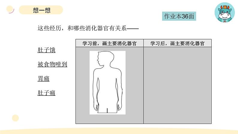 小学科学教科版四年级上册第二单元8食物在身体里的旅行教学课件（2023秋新课标版）03