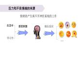 小学科学教科版五年级上册第四单元6《学会管理和控制自己》教学课件（2023秋新课标版）
