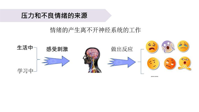 小学科学教科版五年级上册第四单元6《学会管理和控制自己》教学课件（2023秋新课标版）第3页