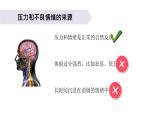 小学科学教科版五年级上册第四单元6《学会管理和控制自己》教学课件（2023秋新课标版）