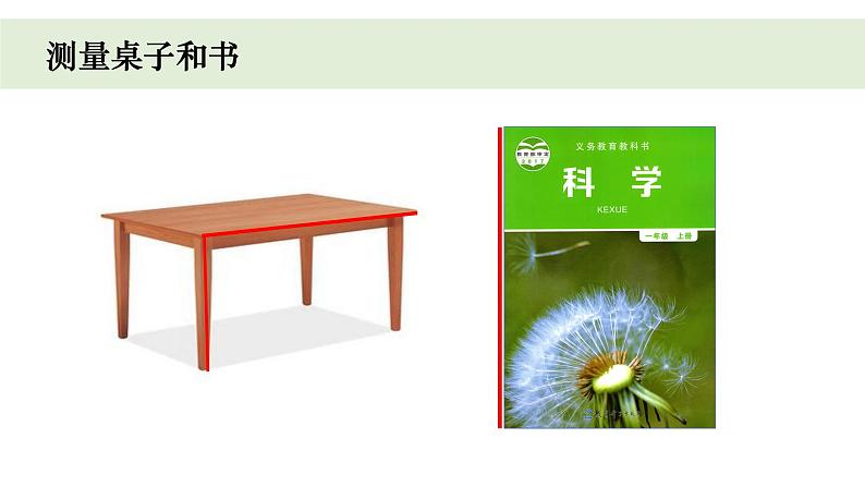 小学科学教科版一年级上册第二单元4《用不同的物体测量》教学课件（2023秋新课标版）06