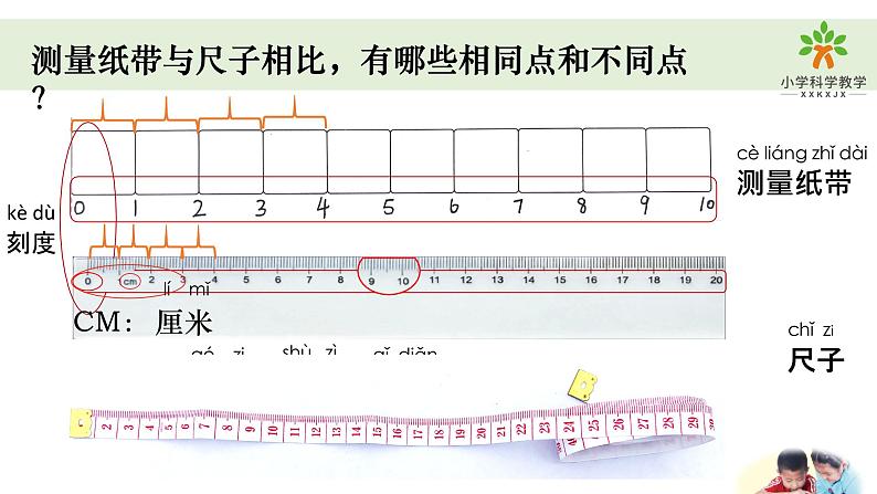 小学科学教科版一年级上册第二单元7《比较测量纸带和尺子》教学课件（2023秋新课标版）05