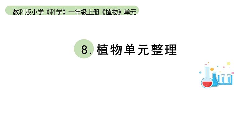 小学科学教科版一年级上册第一单元《植物》整理课件（2023秋新课标版）第1页