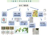 小学科学教科版一年级上册第一单元《植物》整理课件（2023秋新课标版）