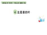 小學科學教科版一年級上冊第一單元4《這是誰的葉》教學課件（2023秋新課標版）