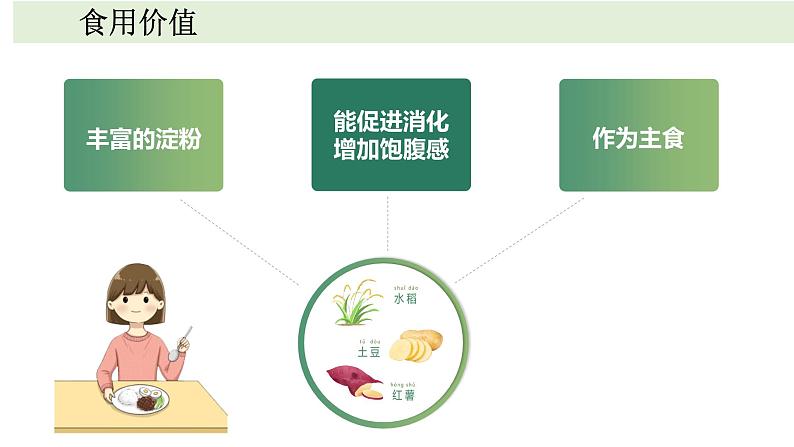 小学科学教科版一年级上册第一单元7《我们离不开植物》教学课件（2023秋新课标版）第5页