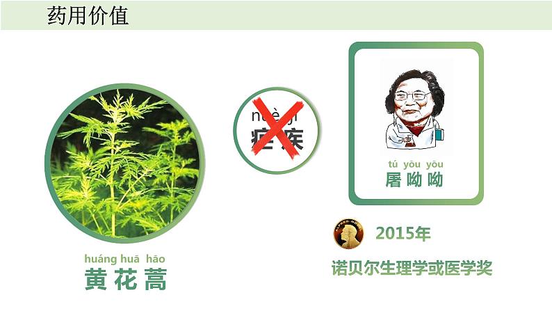 小学科学教科版一年级上册第一单元7《我们离不开植物》教学课件（2023秋新课标版）第8页