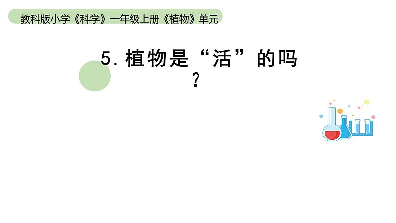 小学科学教科版一年级上册第一单元5植物是“活”的吗教学课件（2023秋新课标版）第1页