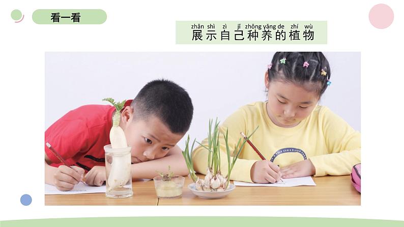 小学科学教科版一年级上册第一单元5植物是“活”的吗教学课件（2023秋新课标版）第5页