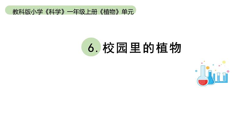 小学科学教科版一年级上册第一单元6《校园里的植物》教学课件（2023秋新课标版）第1页