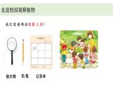 小学科学教科版一年级上册第一单元6《校园里的植物》教学课件（2023秋新课标版）